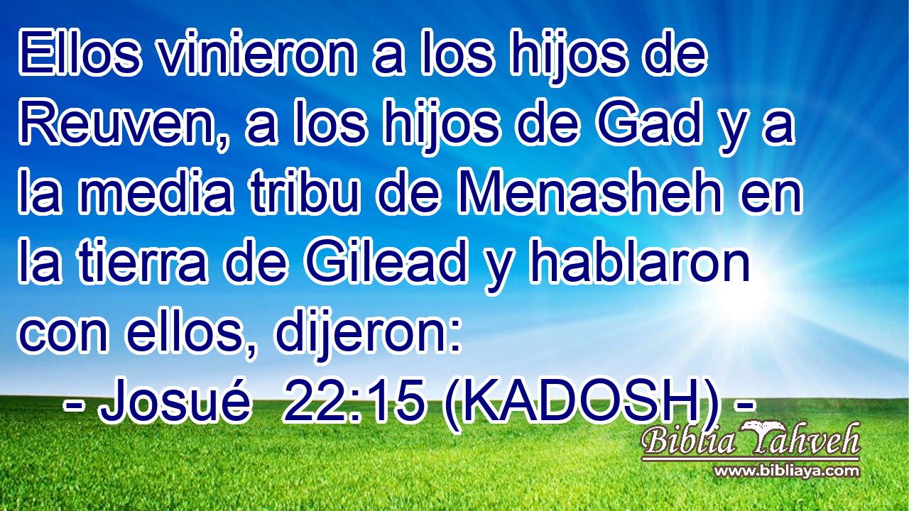  Ellos vinieron a los hijos de Reuven, a los hijos de Gad y a la media tribu de Menasheh en la tierra de Gilead y hablaron con ellos, dijeron: 