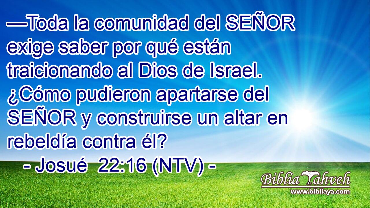 —Toda la comunidad del SEÑOR exige saber por qué están traicionando al Dios de Israel. ¿Cómo pudieron apartarse del SEÑOR y construirse un altar en rebeldía contra él?