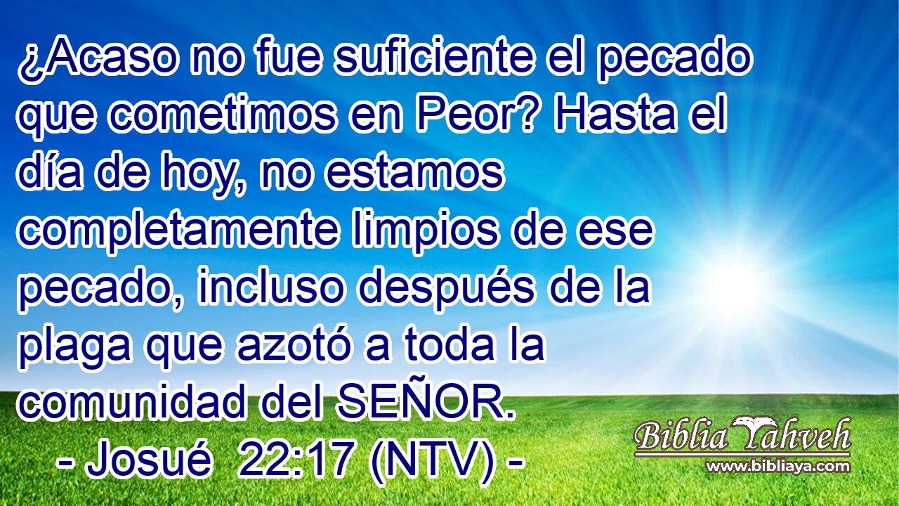 ¿Acaso no fue suficiente el pecado que cometimos en Peor? Hasta el día de hoy, no estamos completamente limpios de ese pecado, incluso después de la plaga que azotó a toda la comunidad del SEÑOR.