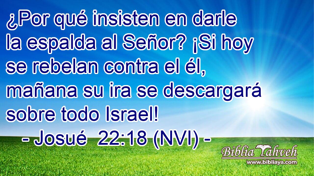  ¿Por qué insisten en darle la espalda al Señor? ¡Si hoy se rebelan contra el él, mañana su ira se descargará sobre todo Israel! 