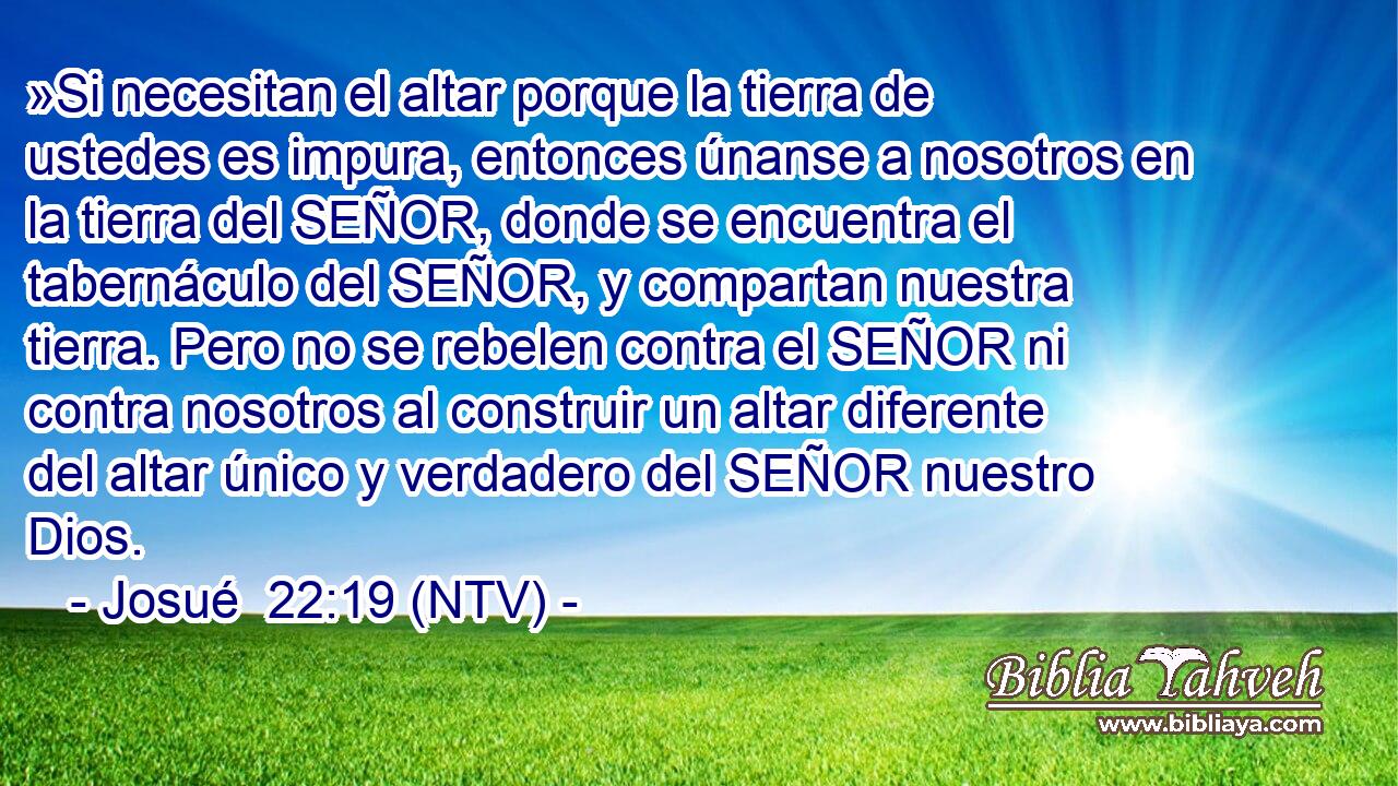 »Si necesitan el altar porque la tierra de ustedes es impura, entonces únanse a nosotros en la tierra del SEÑOR, donde se encuentra el tabernáculo del SEÑOR, y compartan nuestra tierra. Pero no se rebelen contra el SEÑOR ni contra nosotros al construir un altar diferente del altar único y verdadero del SEÑOR nuestro Dios.