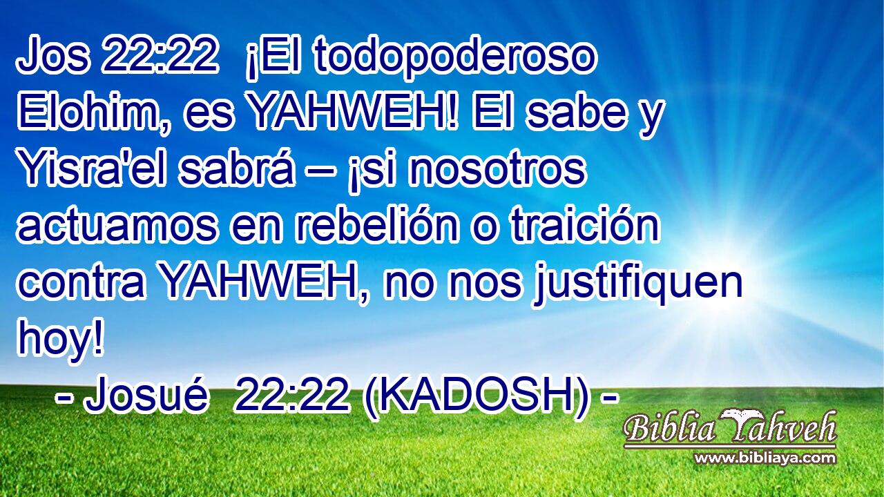  ¡El todopoderoso Elohim, es YAHWEH! El sabe y Yisra'el sabrá – ¡si nosotros actuamos en rebelión o traición contra YAHWEH, no nos justifiquen hoy! 