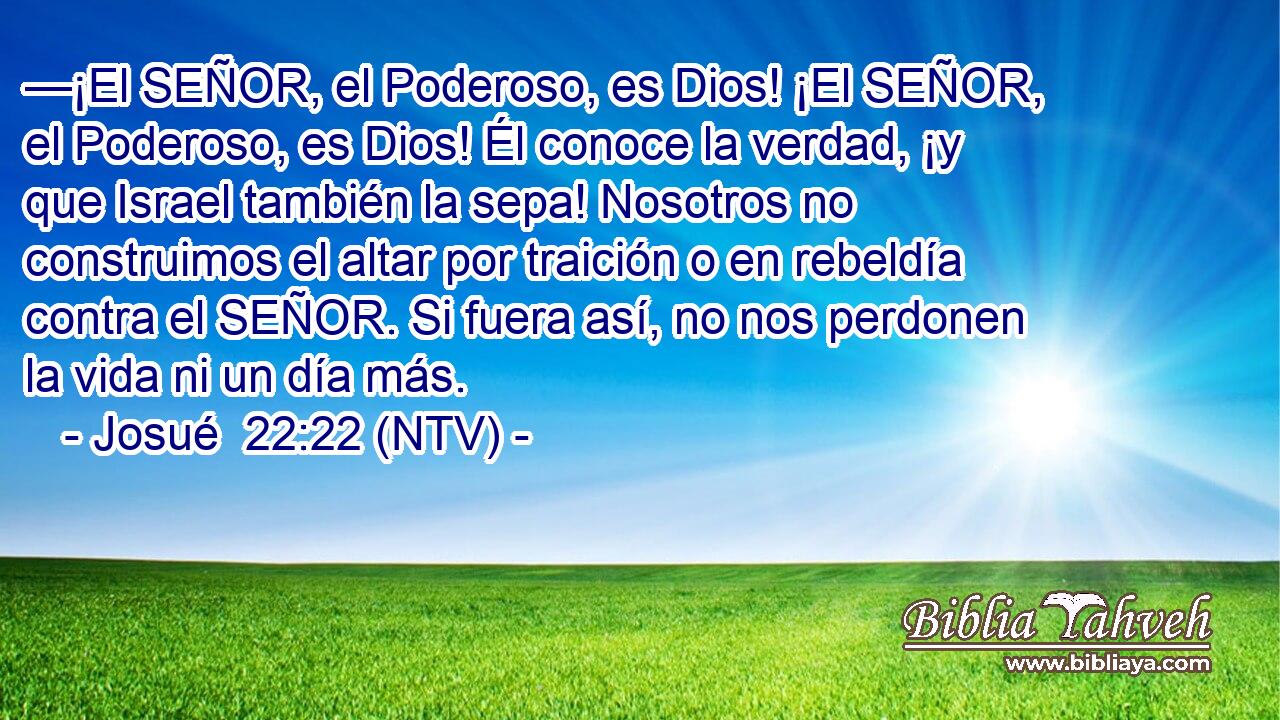 —¡El SEÑOR, el Poderoso, es Dios! ¡El SEÑOR, el Poderoso, es Dios! Él conoce la verdad, ¡y que Israel también la sepa! Nosotros no construimos el altar por traición o en rebeldía contra el SEÑOR. Si fuera así, no nos perdonen la vida ni un día más.