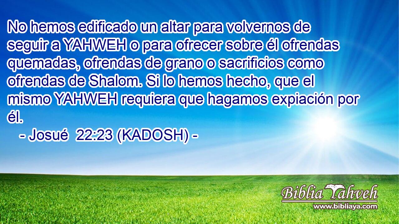  No hemos edificado un altar para volvernos de seguir a YAHWEH o para ofrecer sobre él ofrendas quemadas, ofrendas de grano o sacrificios como ofrendas de Shalom. Si lo hemos hecho, que el mismo YAHWEH requiera que hagamos expiación por él. 