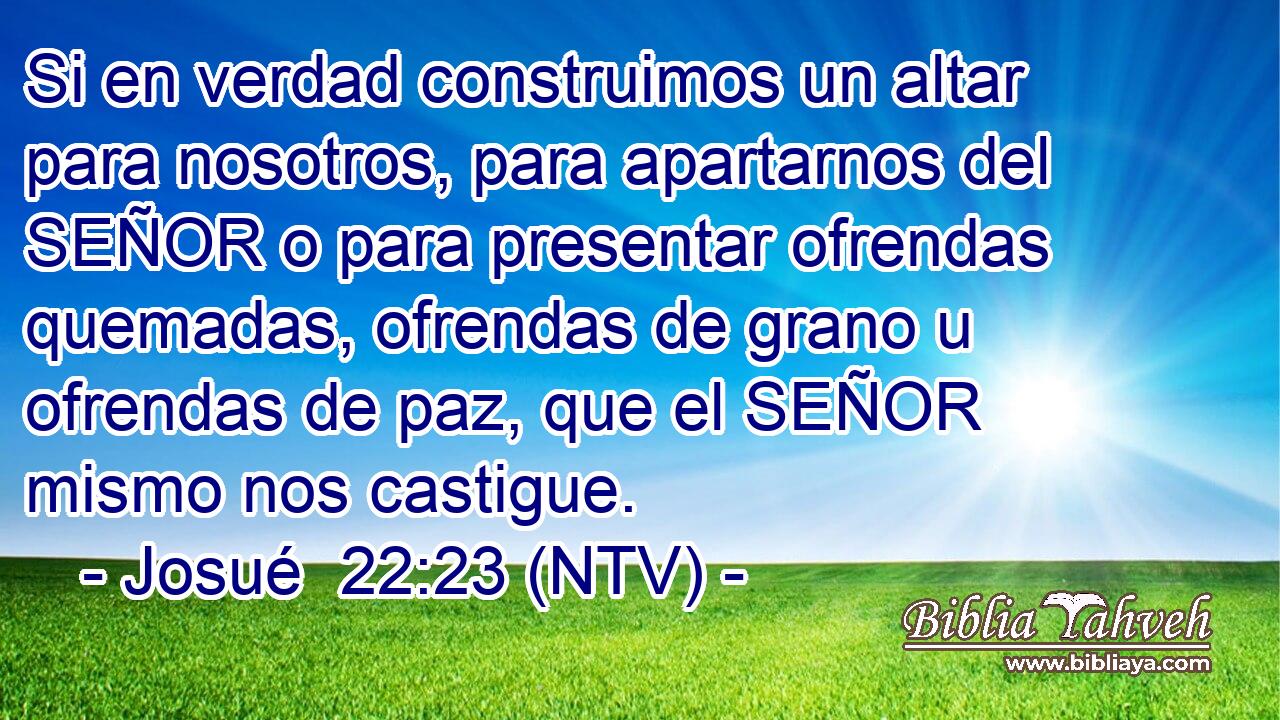 Si en verdad construimos un altar para nosotros, para apartarnos del SEÑOR o para presentar ofrendas quemadas, ofrendas de grano u ofrendas de paz, que el SEÑOR mismo nos castigue.