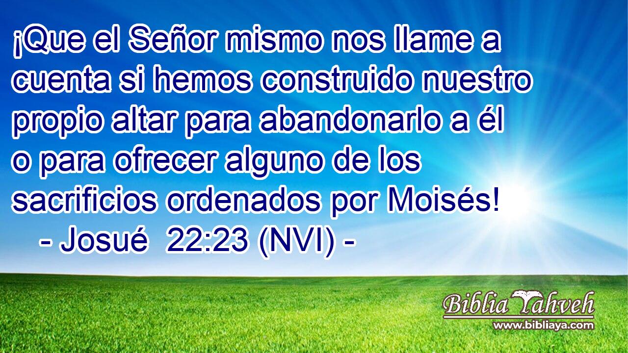  ¡Que el Señor mismo nos llame a cuenta si hemos construido nuestro propio altar para abandonarlo a él o para ofrecer alguno de los sacrificios ordenados por Moisés! 