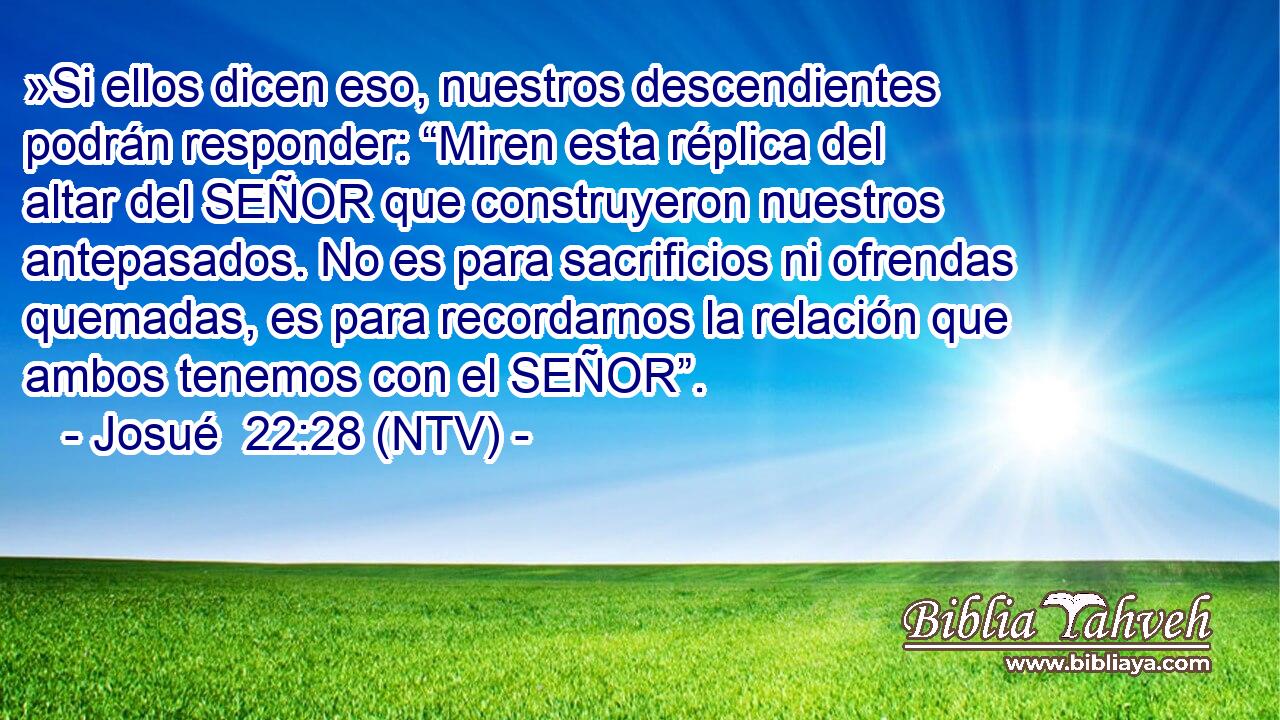 »Si ellos dicen eso, nuestros descendientes podrán responder: “Miren esta réplica del altar del SEÑOR que construyeron nuestros antepasados. No es para sacrificios ni ofrendas quemadas, es para recordarnos la relación que ambos tenemos con el SEÑOR”.