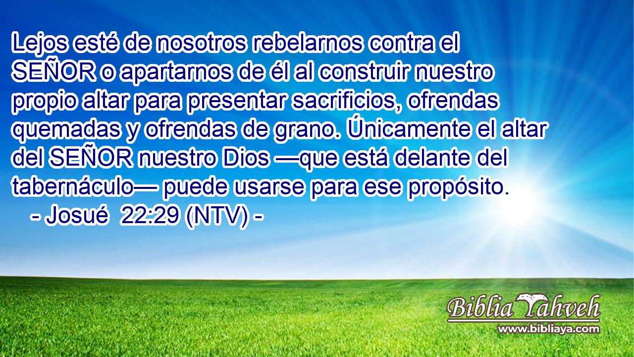 Lejos esté de nosotros rebelarnos contra el SEÑOR o apartarnos de él al construir nuestro propio altar para presentar sacrificios, ofrendas quemadas y ofrendas de grano. Únicamente el altar del SEÑOR nuestro Dios —que está delante del tabernáculo— puede usarse para ese propósito.