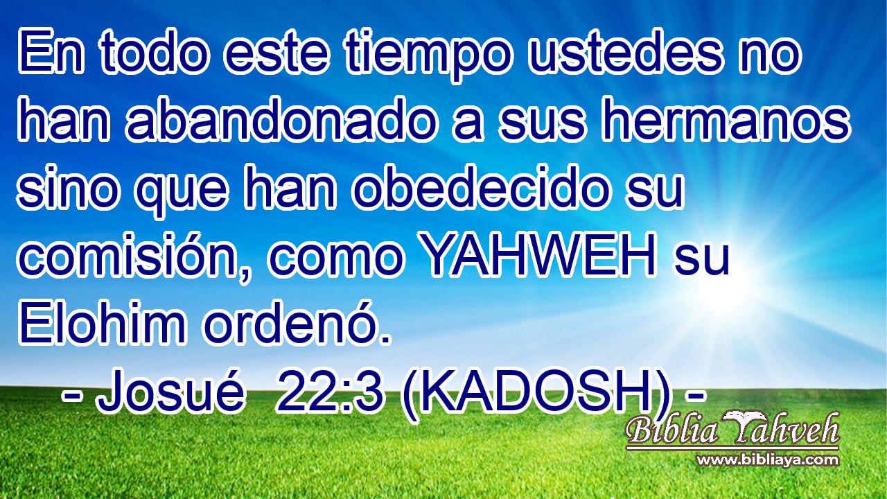  En todo este tiempo ustedes no han abandonado a sus hermanos sino que han obedecido su comisión, como YAHWEH su Elohim ordenó. 