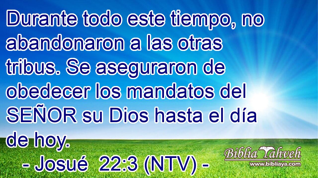 Durante todo este tiempo, no abandonaron a las otras tribus. Se aseguraron de obedecer los mandatos del SEÑOR su Dios hasta el día de hoy.