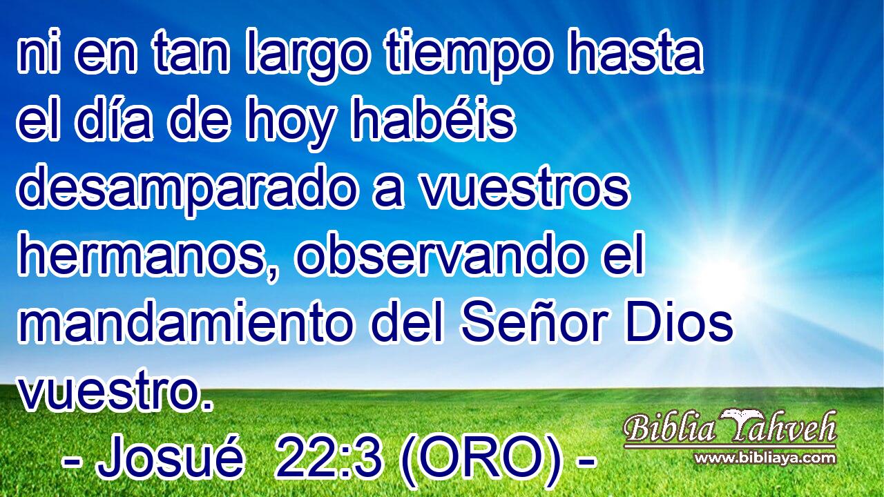  ni en tan largo tiempo hasta el día de hoy habéis desamparado a vuestros hermanos, observando el mandamiento del Señor Dios vuestro. 
