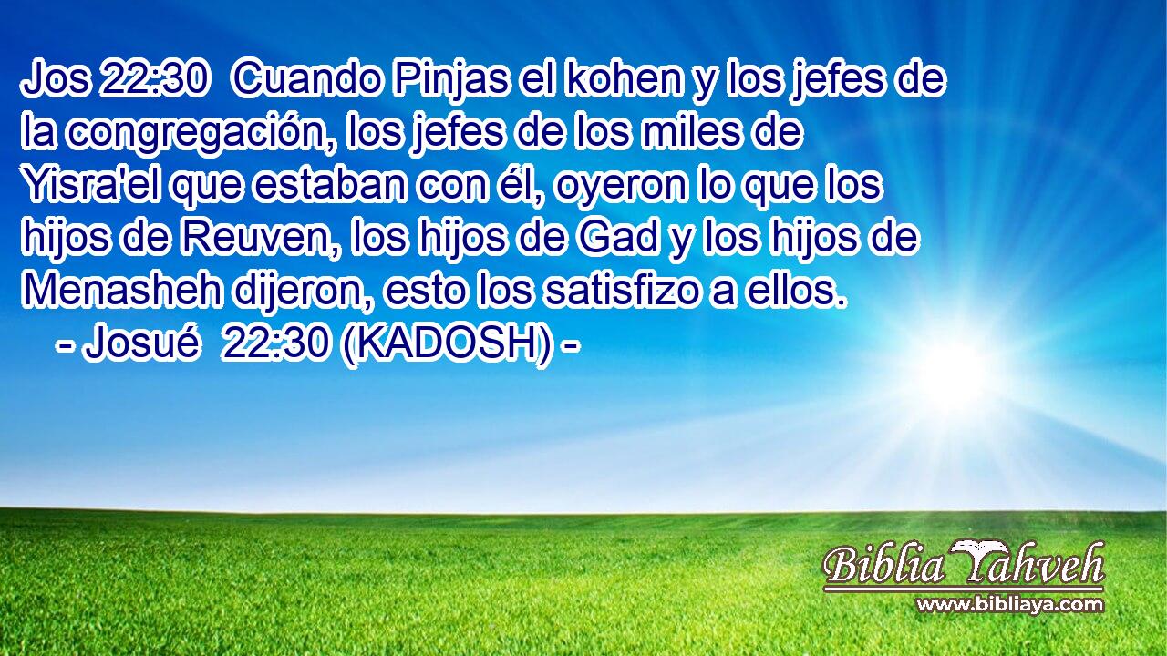  Cuando Pinjas el kohen y los jefes de la congregación, los jefes de los miles de Yisra'el que estaban con él, oyeron lo que los hijos de Reuven, los hijos de Gad y los hijos de Menasheh dijeron, esto los satisfizo a ellos. 