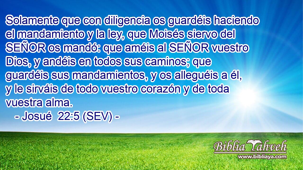 Solamente que con diligencia os guardéis haciendo el mandamiento y la ley, que Moisés siervo del SEÑOR os mandó: que améis al SEÑOR vuestro Dios, y andéis en todos sus caminos; que guardéis sus mandamientos, y os alleguéis a él, y le sirváis de todo vuestro corazón y de toda vuestra alma.
