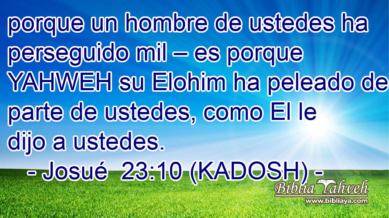  porque un hombre de ustedes ha perseguido mil – es porque YAHWEH su Elohim ha peleado de parte de ustedes, como El le dijo a ustedes. 