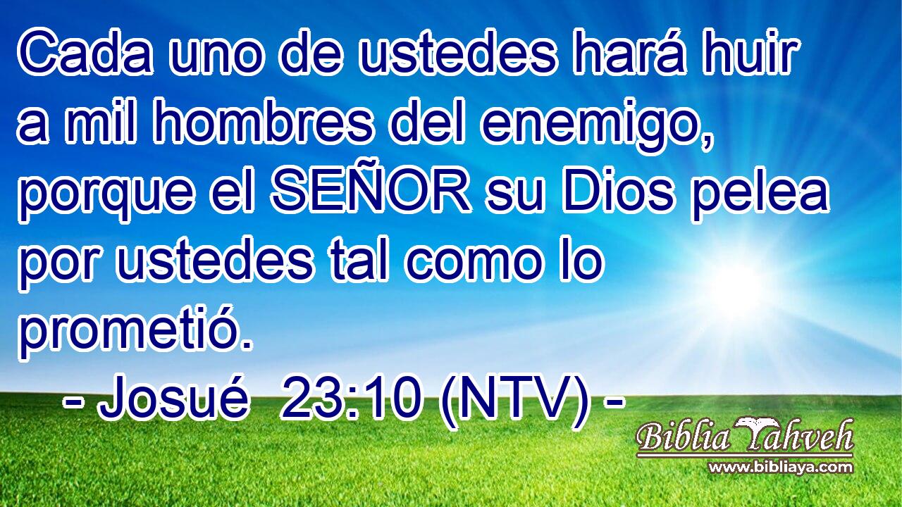 Cada uno de ustedes hará huir a mil hombres del enemigo, porque el SEÑOR su Dios pelea por ustedes tal como lo prometió.