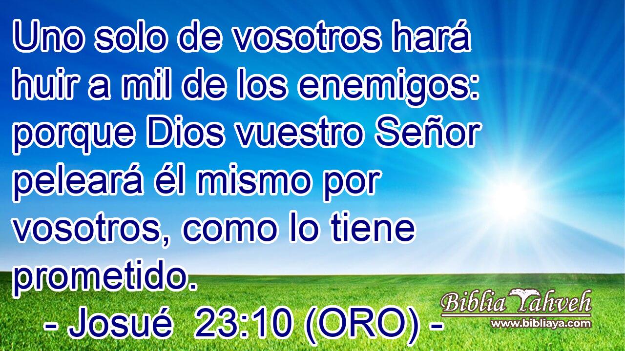  Uno solo de vosotros hará huir a mil de los enemigos: porque Dios vuestro Señor peleará él mismo por vosotros, como lo tiene prometido. 