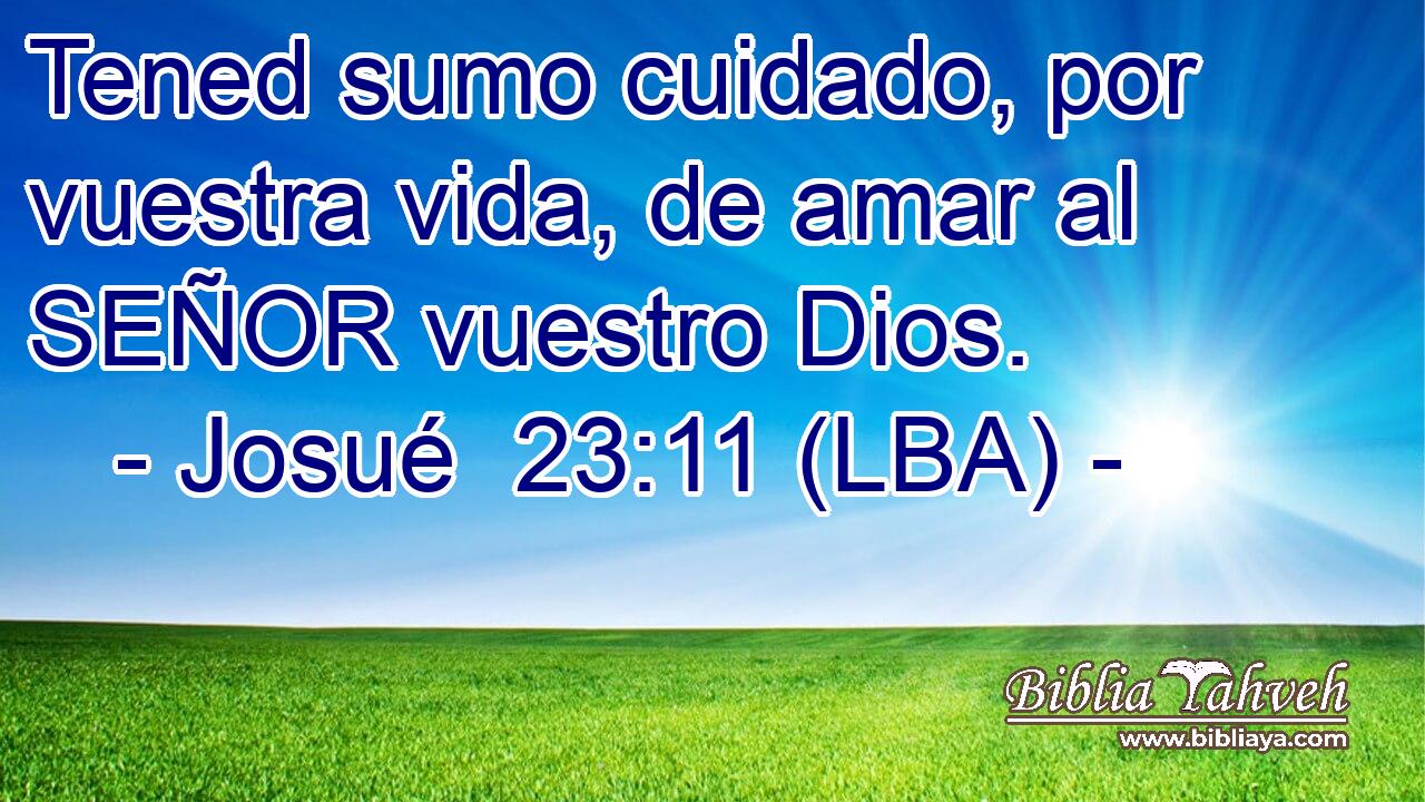 Tened sumo cuidado, por vuestra vida, de amar al SEÑOR vuestro Dios.