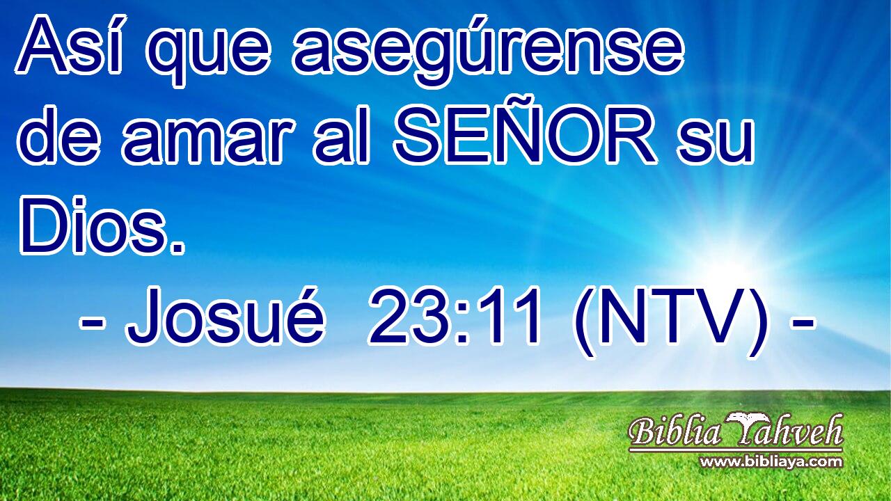 Así que asegúrense de amar al SEÑOR su Dios.