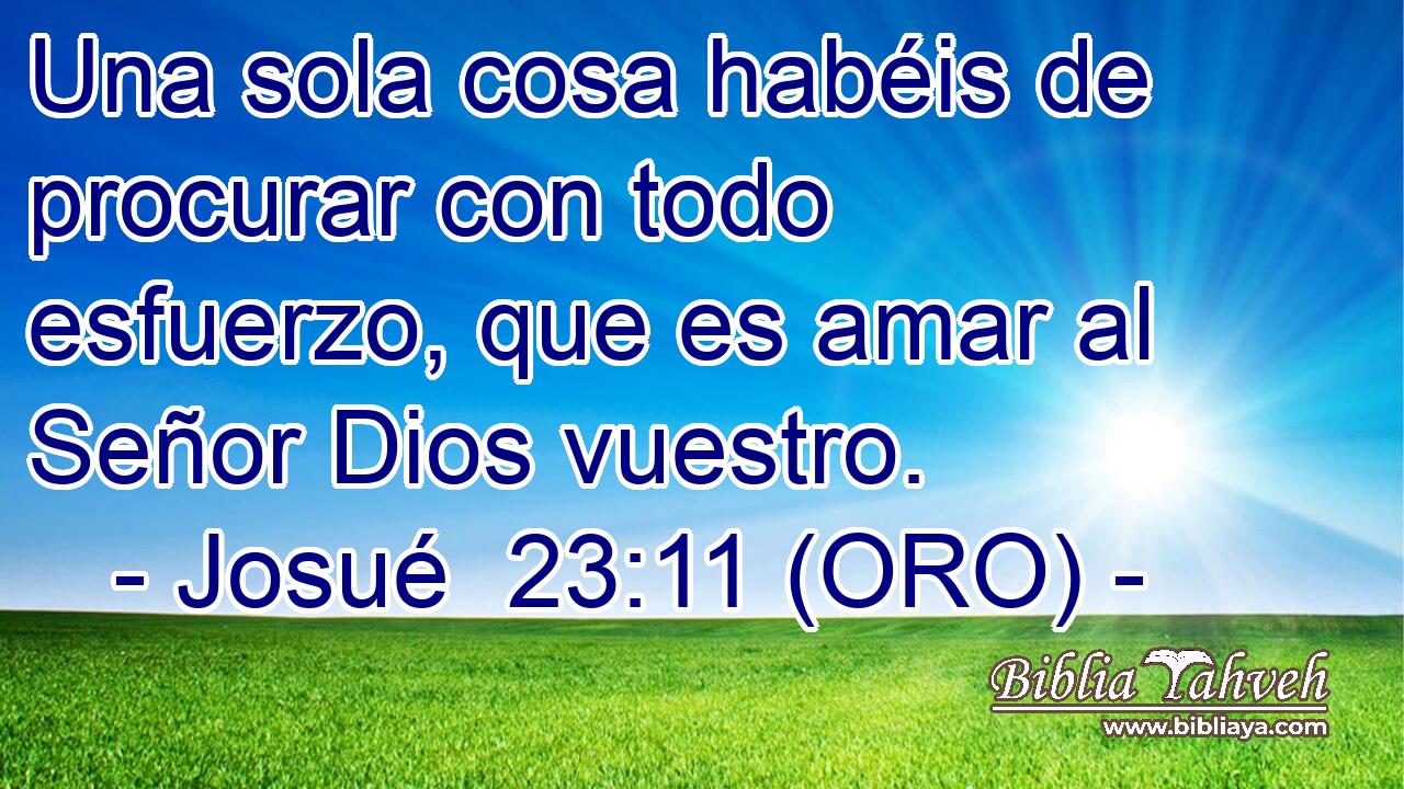  Una sola cosa habéis de procurar con todo esfuerzo, que es amar al Señor Dios vuestro. 