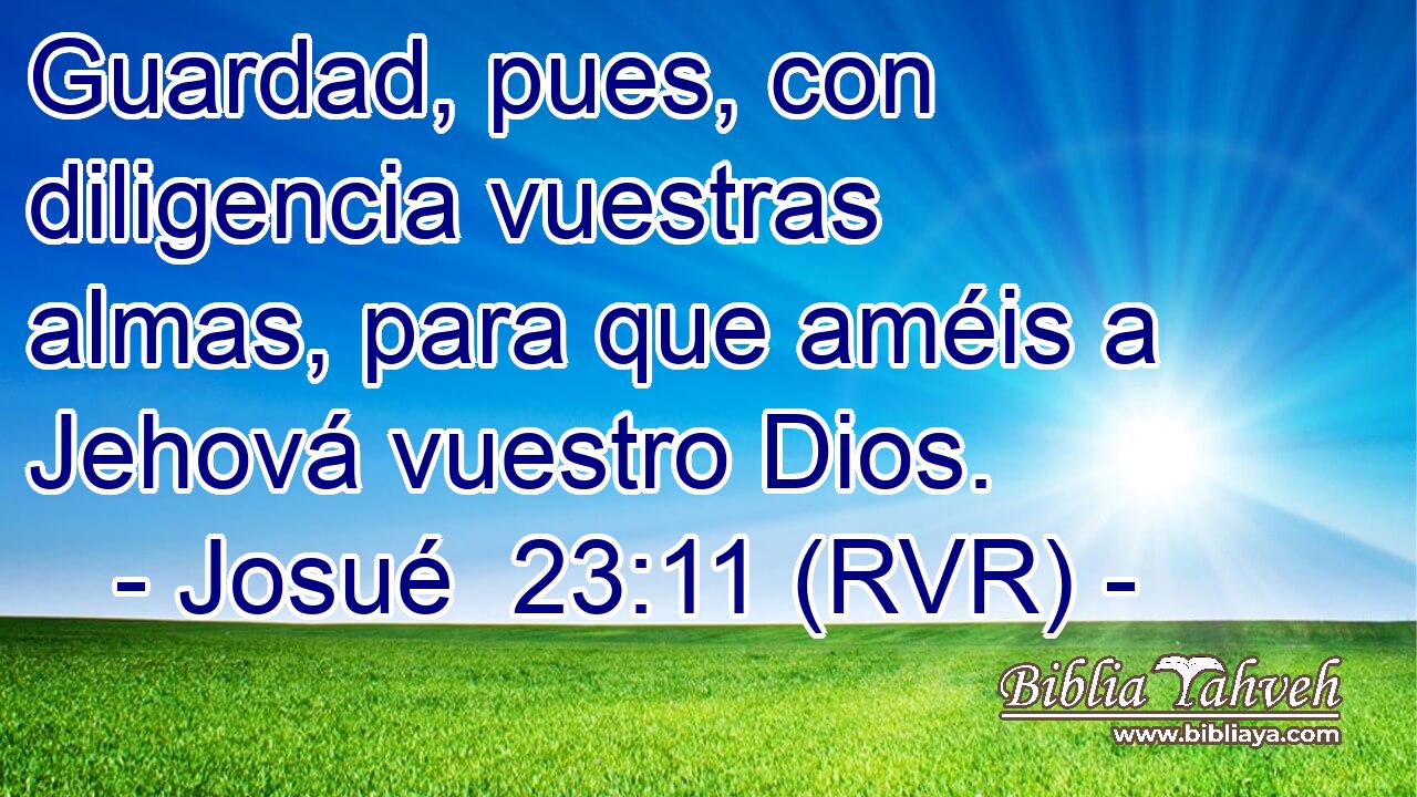 Guardad, pues, con diligencia vuestras almas, para que améis a Jehová vuestro Dios.