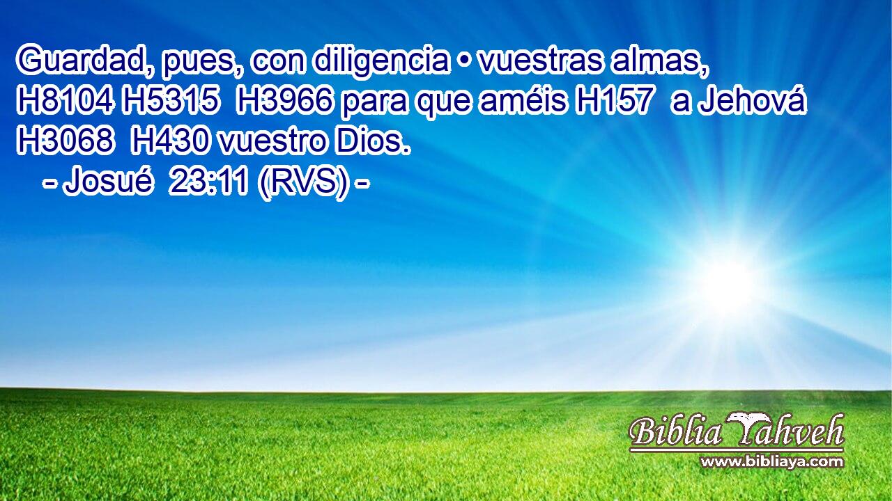 Guardad, pues, con diligencia • vuestras almas, H8104 H5315  H3966 para que améis H157  a Jehová H3068  H430 vuestro Dios. 