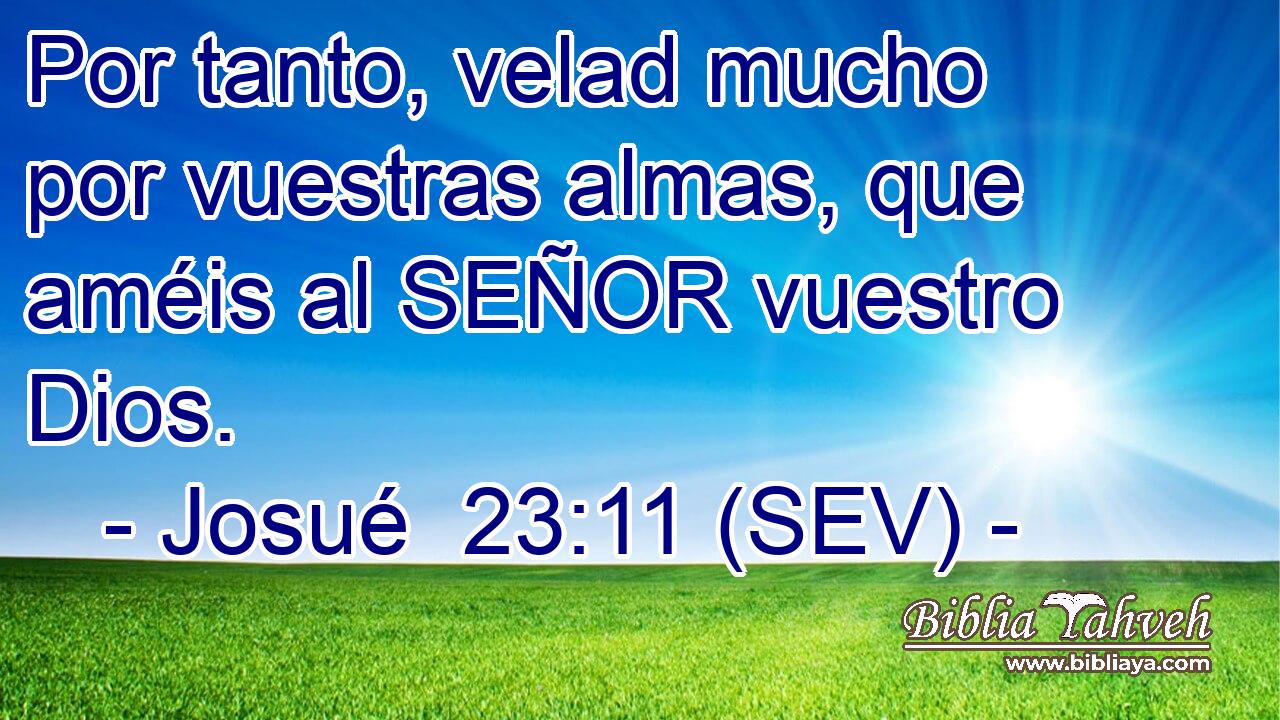 Por tanto, velad mucho por vuestras almas, que améis al SEÑOR vuestro Dios.