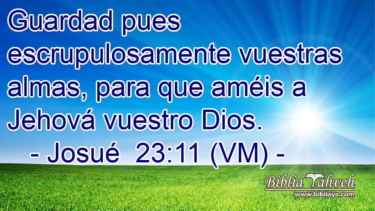  Guardad pues escrupulosamente vuestras almas, para que améis a Jehová vuestro Dios. 