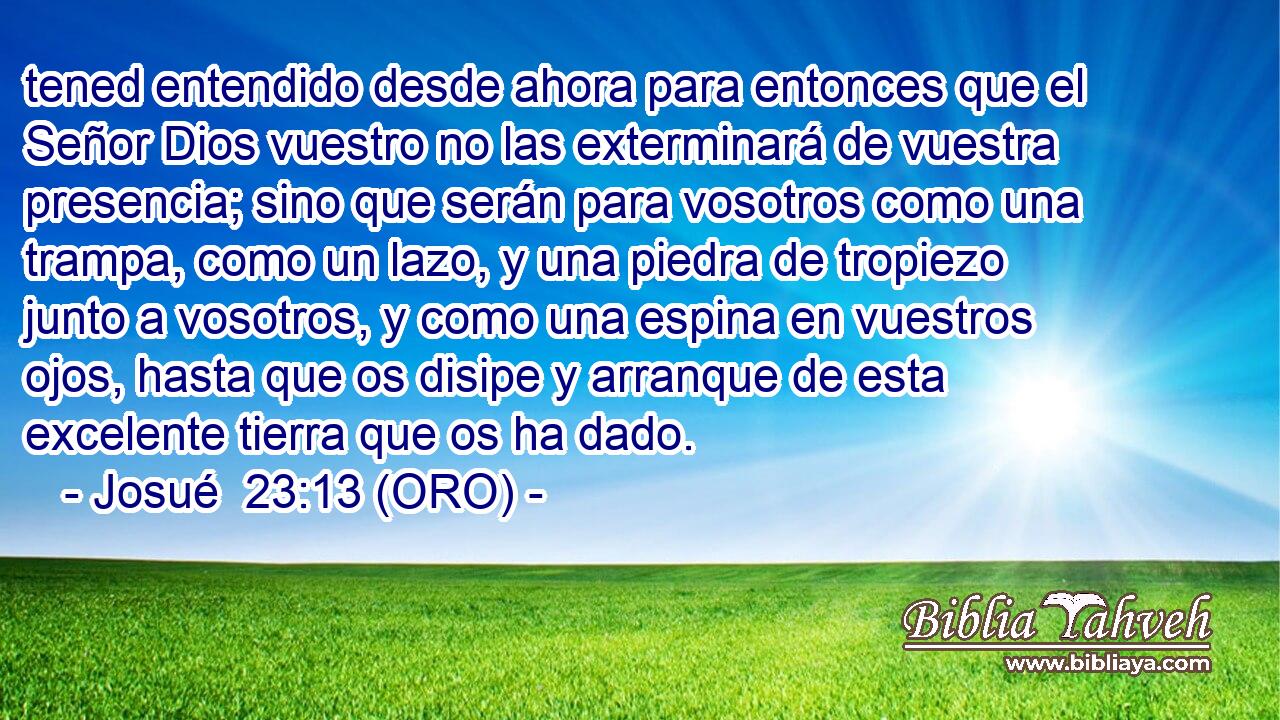  tened entendido desde ahora para entonces que el Señor Dios vuestro no las exterminará de vuestra presencia; sino que serán para vosotros como una trampa, como un lazo, y una piedra de tropiezo junto a vosotros, y como una espina en vuestros ojos, hasta que os disipe y arranque de esta excelente tierra que os ha dado. 