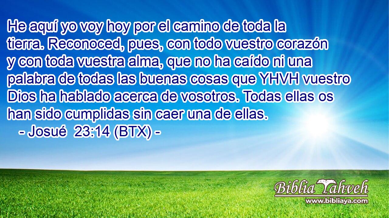 He aquí yo voy hoy por el camino de toda la tierra. Reconoced, pues, con todo vuestro corazón y con toda vuestra alma, que no ha caído ni una palabra de todas las buenas cosas que YHVH vuestro Dios ha hablado acerca de vosotros. Todas ellas os han sido cumplidas sin caer una de ellas.