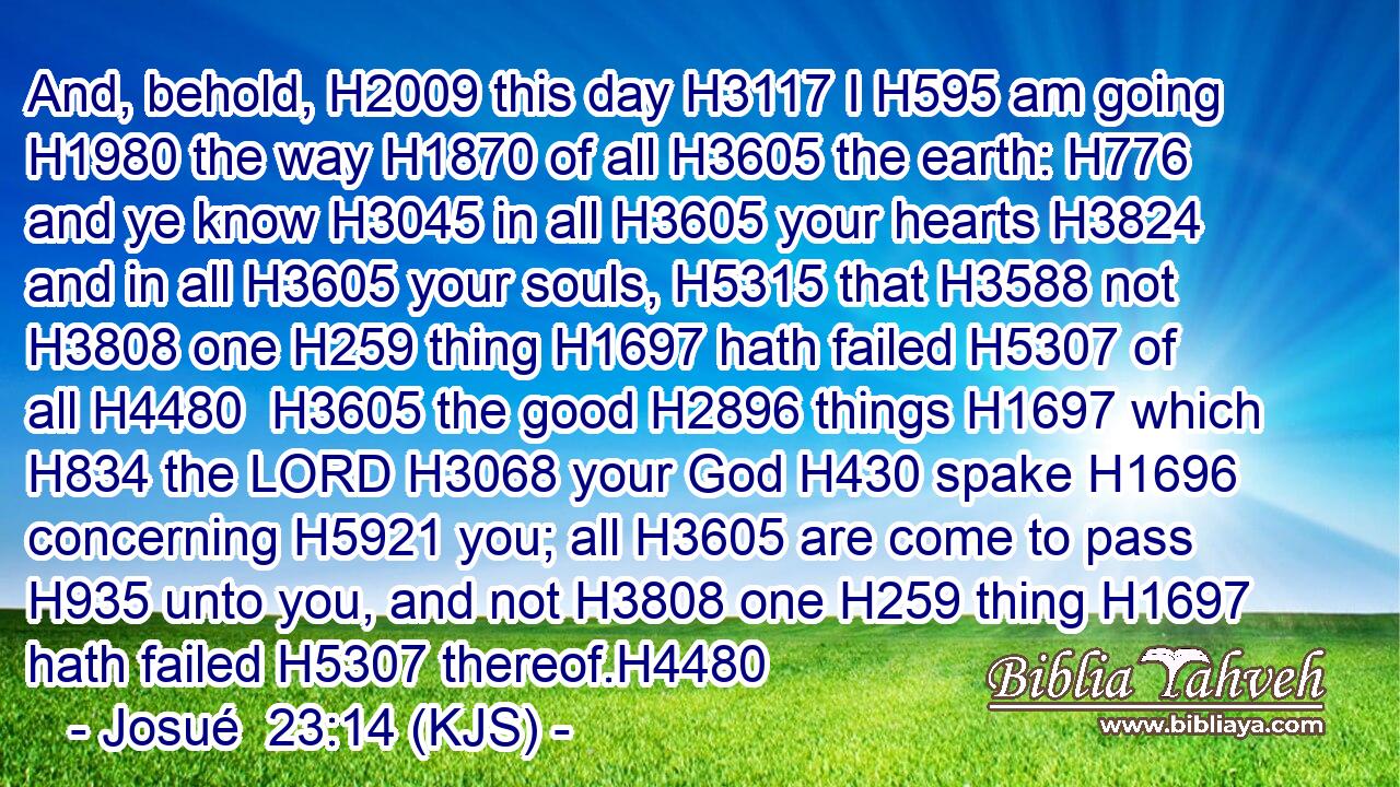 And, behold, H2009 this day H3117 I H595 am going H1980 the way H1870 of all H3605 the earth: H776 and ye know H3045 in all H3605 your hearts H3824 and in all H3605 your souls, H5315 that H3588 not H3808 one H259 thing H1697 hath failed H5307 of all H4480  H3605 the good H2896 things H1697 which H834 the LORD H3068 your God H430 spake H1696 concerning H5921 you; all H3605 are come to pass H935 unto you, and not H3808 one H259 thing H1697 hath failed H5307 thereof.H4480