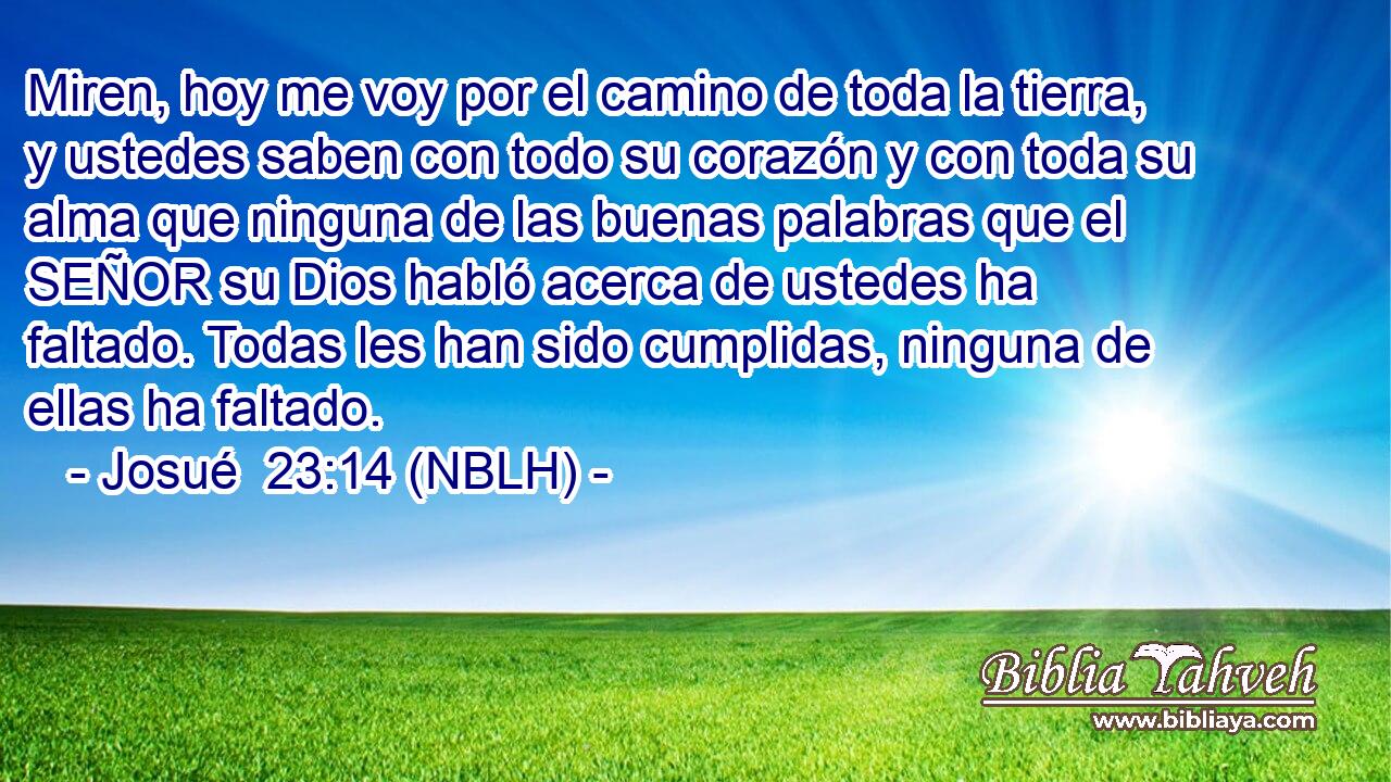  Miren, hoy me voy por el camino de toda la tierra, y ustedes saben con todo su corazón y con toda su alma que ninguna de las buenas palabras que el SEÑOR su Dios habló acerca de ustedes ha faltado. Todas les han sido cumplidas, ninguna de ellas ha faltado. 