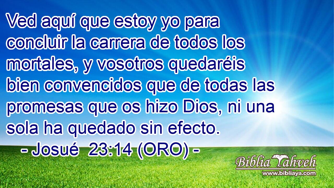 Ved aquí que estoy yo para concluir la carrera de todos los mortales, y vosotros quedaréis bien convencidos que de todas las promesas que os hizo Dios, ni una sola ha quedado sin efecto. 