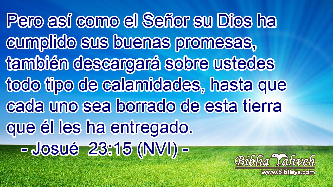  Pero así como el Señor su Dios ha cumplido sus buenas promesas, también descargará sobre ustedes todo tipo de calamidades, hasta que cada uno sea borrado de esta tierra que él les ha entregado. 
