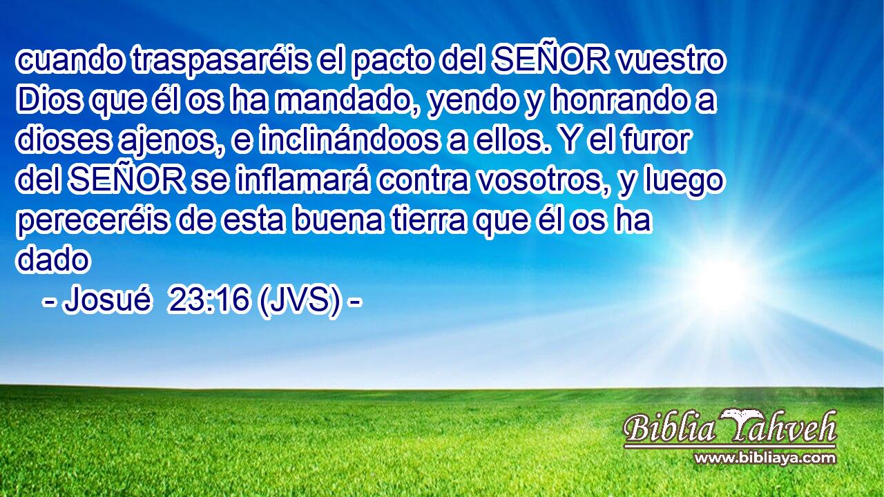 cuando traspasaréis el pacto del SEÑOR vuestro Dios que él os ha mandado, yendo y honrando a dioses ajenos, e inclinándoos a ellos. Y el furor del SEÑOR se inflamará contra vosotros, y luego pereceréis de esta buena tierra que él os ha dado