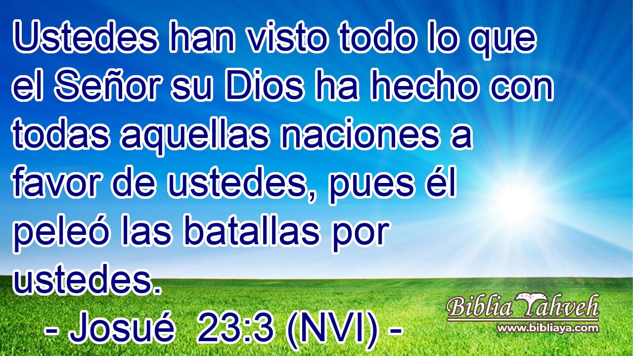  Ustedes han visto todo lo que el Señor su Dios ha hecho con todas aquellas naciones a favor de ustedes, pues él peleó las batallas por ustedes. 