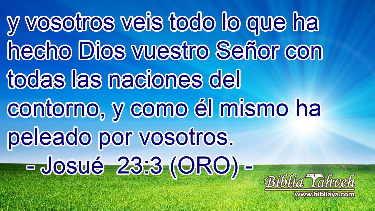  y vosotros veis todo lo que ha hecho Dios vuestro Señor con todas las naciones del contorno, y como él mismo ha peleado por vosotros. 