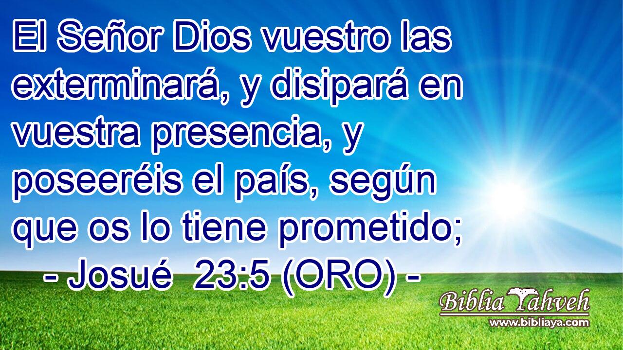  El Señor Dios vuestro las exterminará, y disipará en vuestra presencia, y poseeréis el país, según que os lo tiene prometido; 