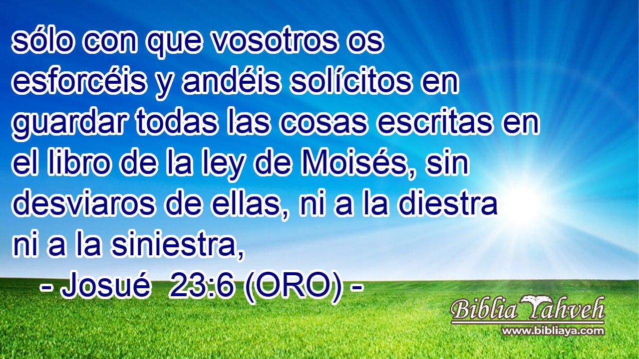  sólo con que vosotros os esforcéis y andéis solícitos en guardar todas las cosas escritas en el libro de la ley de Moisés, sin desviaros de ellas, ni a la diestra ni a la siniestra, 