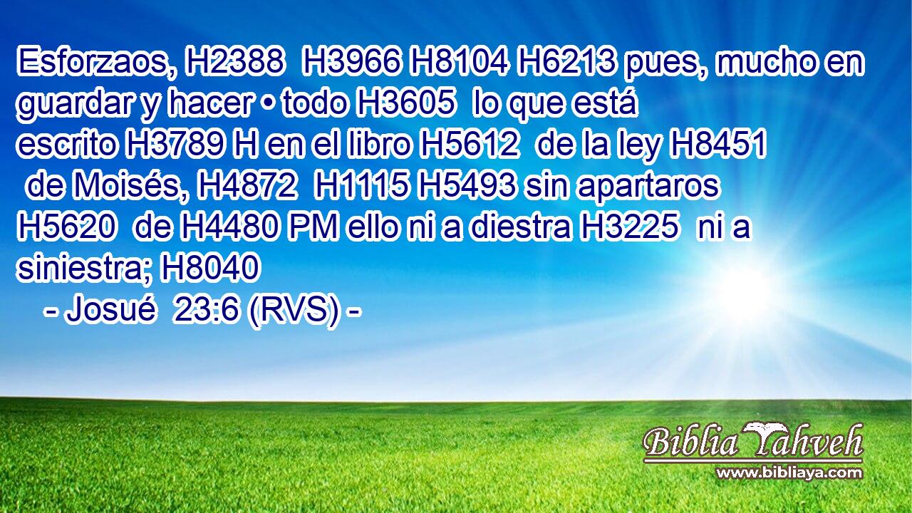 Esforzaos, H2388  H3966 H8104 H6213 pues, mucho en guardar y hacer • todo H3605  lo que está escrito H3789 H en el libro H5612  de la ley H8451  de Moisés, H4872  H1115 H5493 sin apartaros H5620  de H4480 PM ello ni a diestra H3225  ni a siniestra; H8040  