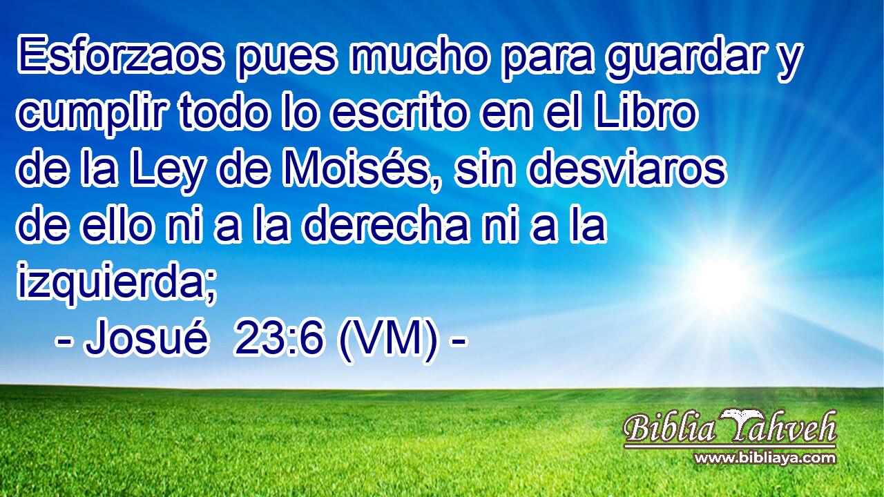  Esforzaos pues mucho para guardar y cumplir todo lo escrito en el Libro de la Ley de Moisés, sin desviaros de ello ni a la derecha ni a la izquierda; 