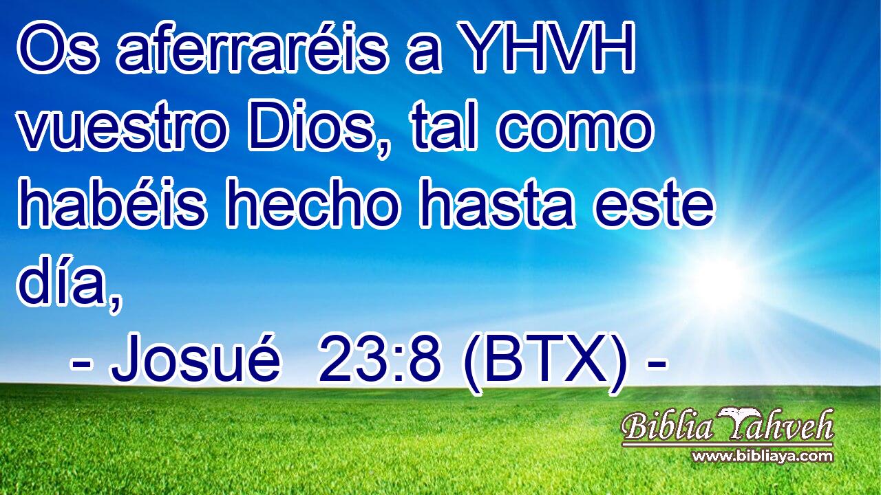 Os aferraréis a YHVH vuestro Dios, tal como habéis hecho hasta este día,