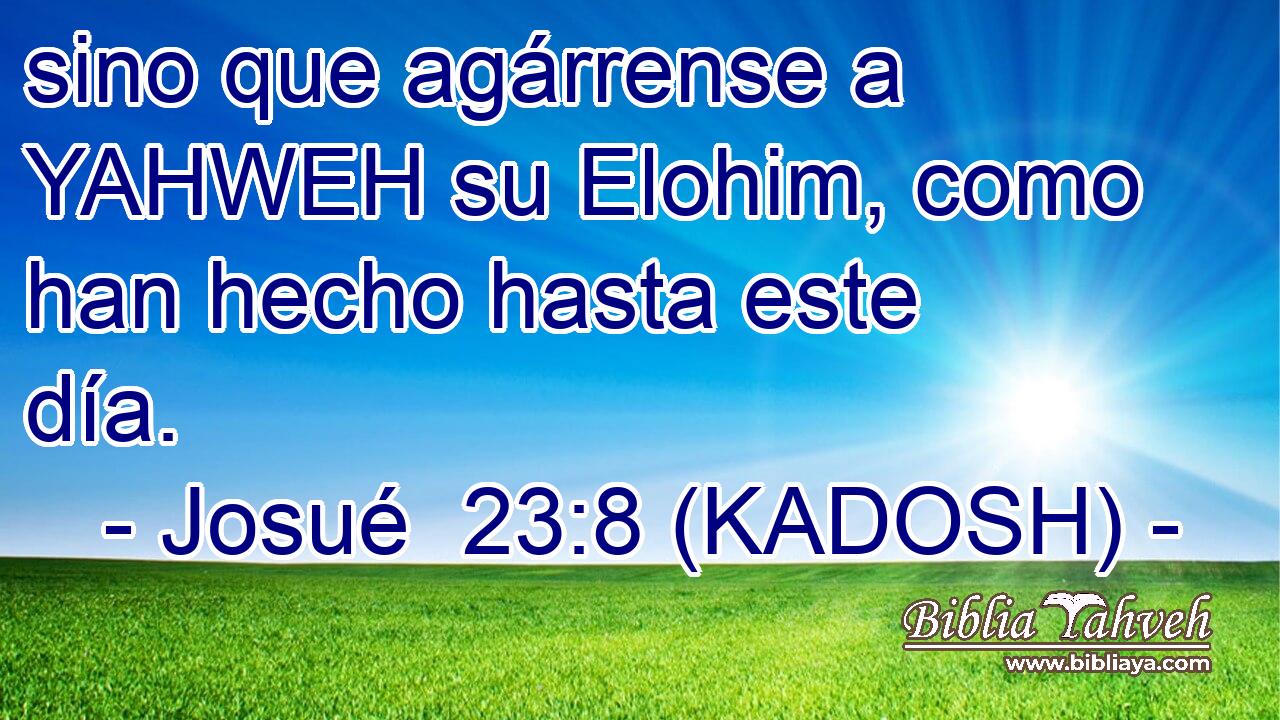  sino que agárrense a YAHWEH su Elohim, como han hecho hasta este día. 