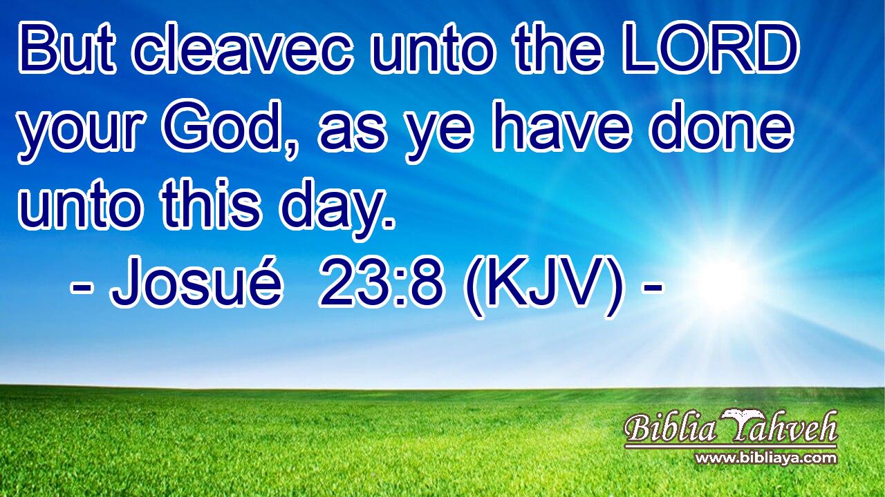 But cleavec unto the LORD your God, as ye have done unto this day.