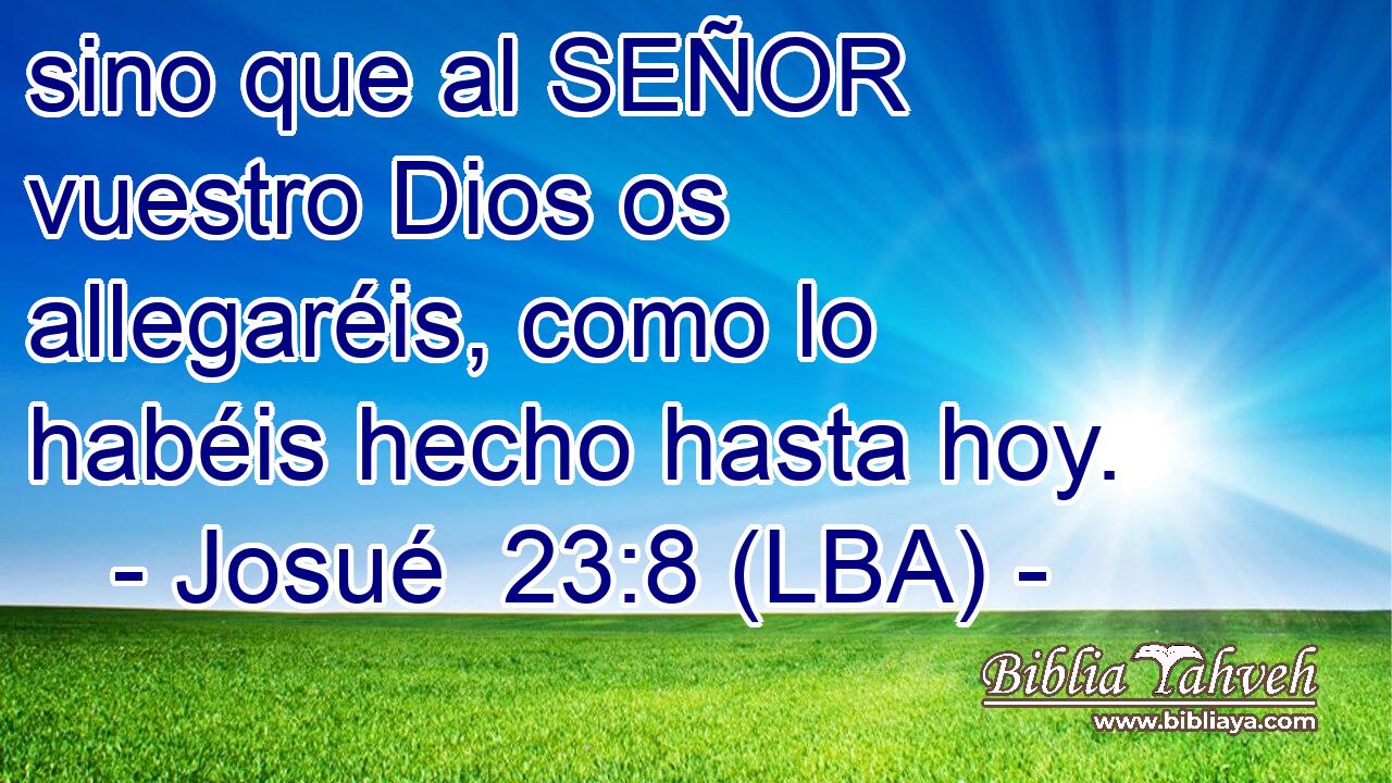sino que al SEÑOR vuestro Dios os allegaréis, como lo habéis hecho hasta hoy.
