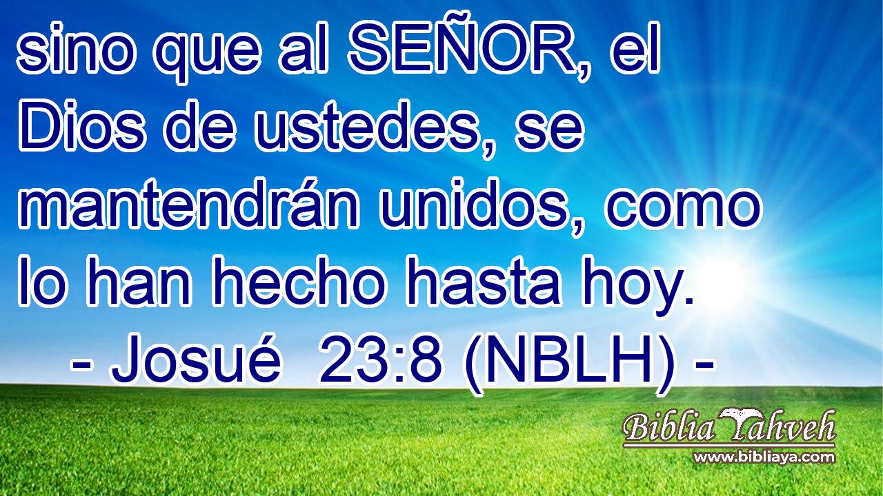  sino que al SEÑOR, el Dios de ustedes, se mantendrán unidos, como lo han hecho hasta hoy. 
