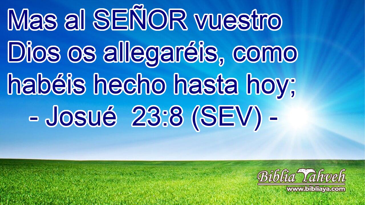 Mas al SEÑOR vuestro Dios os allegaréis, como habéis hecho hasta hoy;
