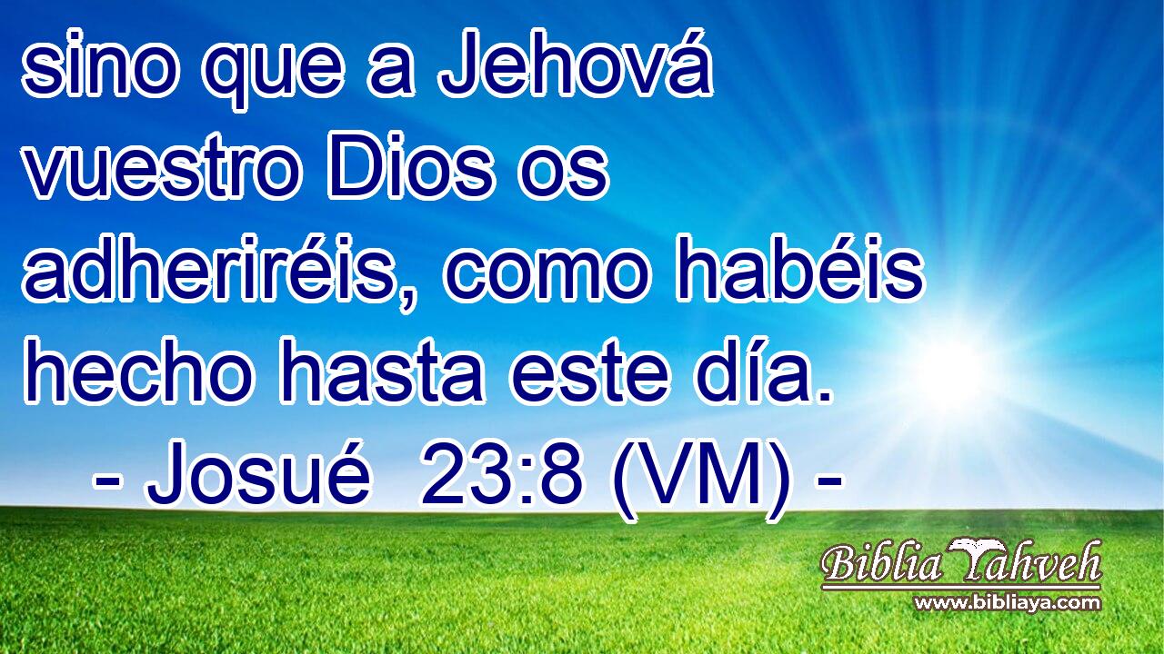  sino que a Jehová vuestro Dios os adheriréis, como habéis hecho hasta este día. 