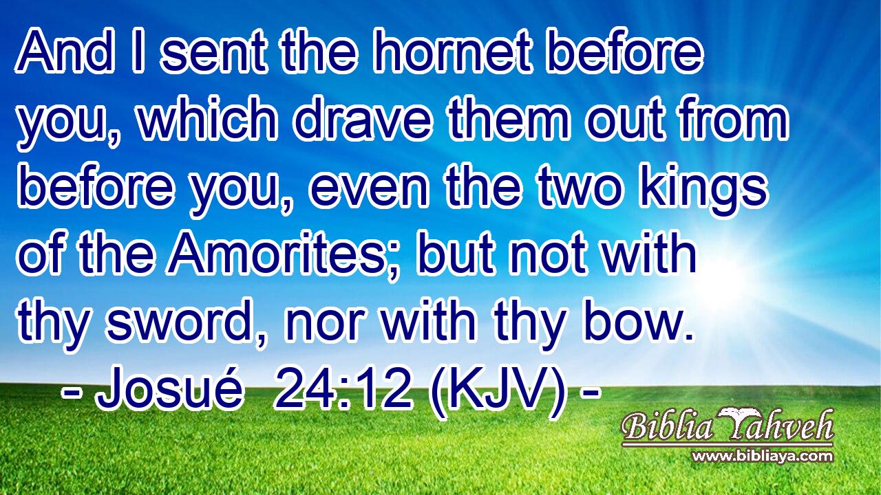 And I sent the hornet before you, which drave them out from before you, even the two kings of the Amorites; but not with thy sword, nor with thy bow.