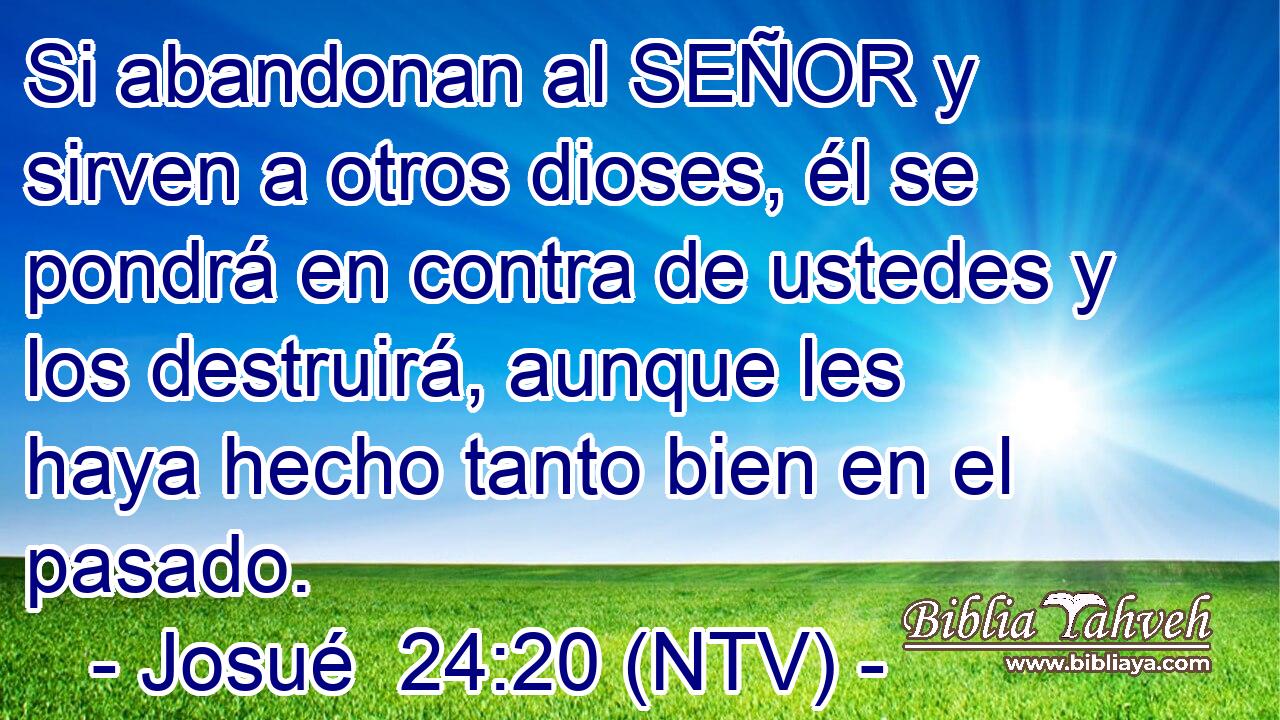 Si abandonan al SEÑOR y sirven a otros dioses, él se pondrá en contra de ustedes y los destruirá, aunque les haya hecho tanto bien en el pasado.