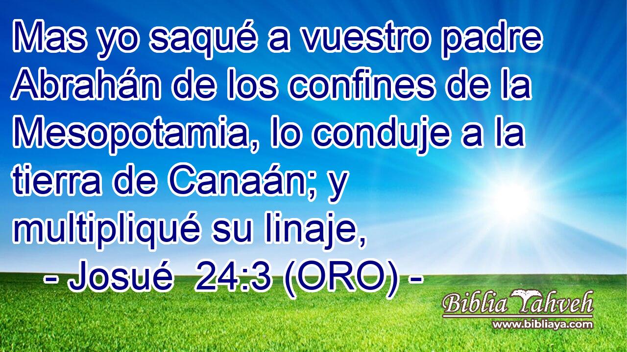  Mas yo saqué a vuestro padre Abrahán de los confines de la Mesopotamia, lo conduje a la tierra de Canaán; y multipliqué su linaje, 